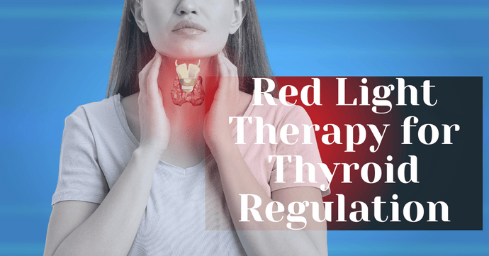 Red Light Therapy for Thyroid Regulation