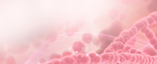 Abstract representation of cells under a therapeutic red light, symbolizing the concept and potential benefits of red light therapy.